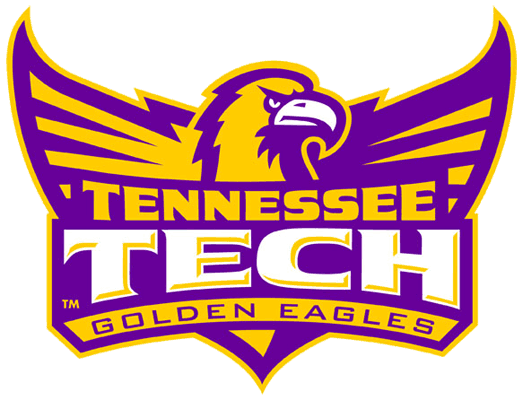 Tennessee Tech Golden Eagles 2006-Pres Alternate Logo t shirts iron on transfers v5